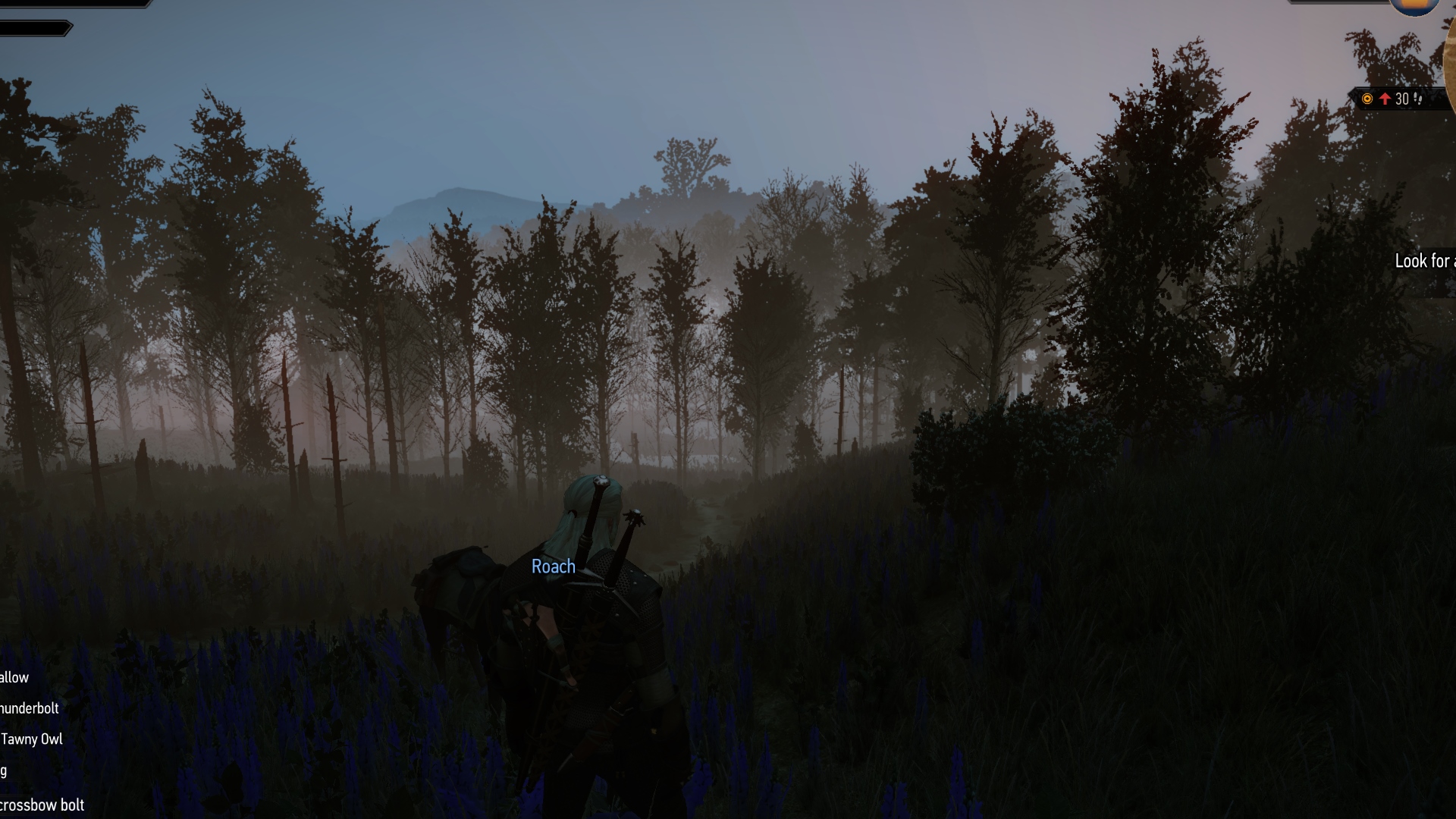 Nowy mod do Wiedźmina 3 naprawia drewniany problem