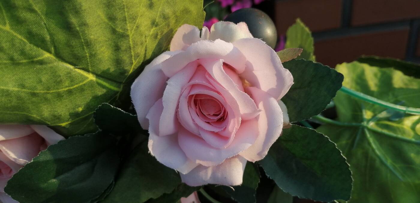 Honor 20 Lite, Honor 20, recenzja Honor 20 Lite, wrażenia Honor 20 Lite, opinie Honor 20 Lite, oceny Honor 20 Lite, specyfikacja Honor 20 Lite, wygląd Honor 20 Lite, cena Honor 20 Lite, opinia Honor 20 Lite, aparat Honor 20 Lite, kolory Honor 20 Lite, ekran Honor 20 Lite, matryca Honor 20 Lite, gdzie kupić Honor 20 Lite, system Honor 20 Lite, procesor Honor 20 Lite, android Honor 20 Lite, trump Honor 20 Lite,