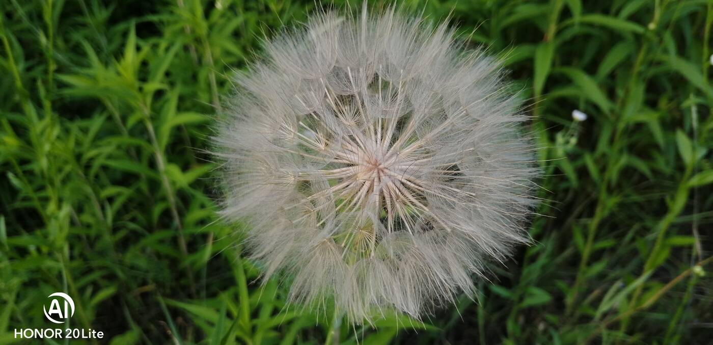 Honor 20 Lite, Honor 20, recenzja Honor 20 Lite, wrażenia Honor 20 Lite, opinie Honor 20 Lite, oceny Honor 20 Lite, specyfikacja Honor 20 Lite, wygląd Honor 20 Lite, cena Honor 20 Lite, opinia Honor 20 Lite, aparat Honor 20 Lite, kolory Honor 20 Lite, ekran Honor 20 Lite, matryca Honor 20 Lite, gdzie kupić Honor 20 Lite, system Honor 20 Lite, procesor Honor 20 Lite, android Honor 20 Lite, trump Honor 20 Lite,