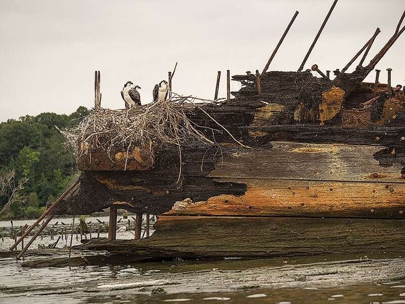 Cmentarzysko statków w Maryland uznane za zabytkowe