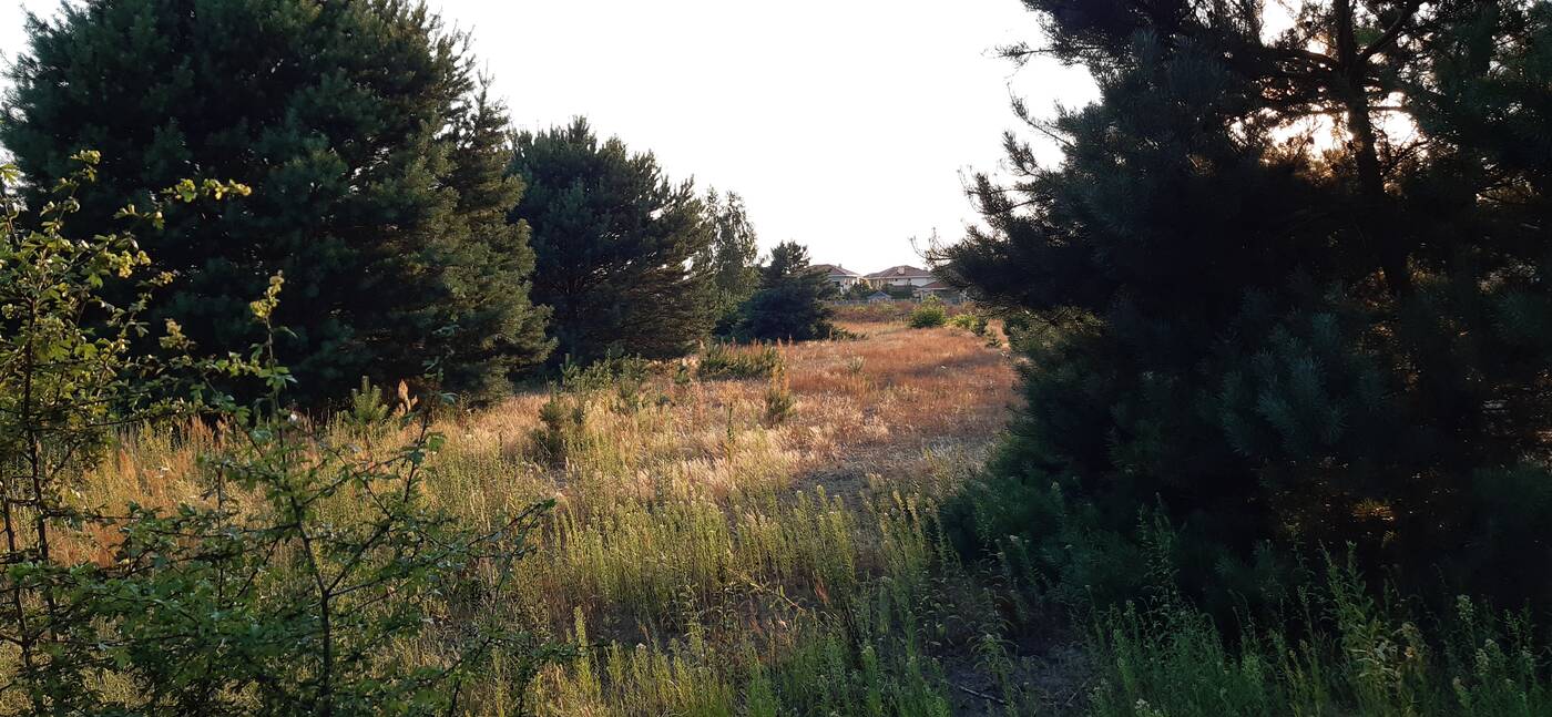 Test Samsung Galaxy A40 – dobra cena