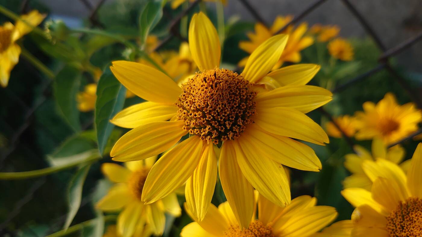 Test Sony Xperia 1 – kinowy format w najlepszym wydaniu