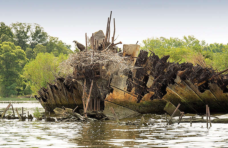 Cmentarzysko statków w Maryland uznane za zabytkowe
