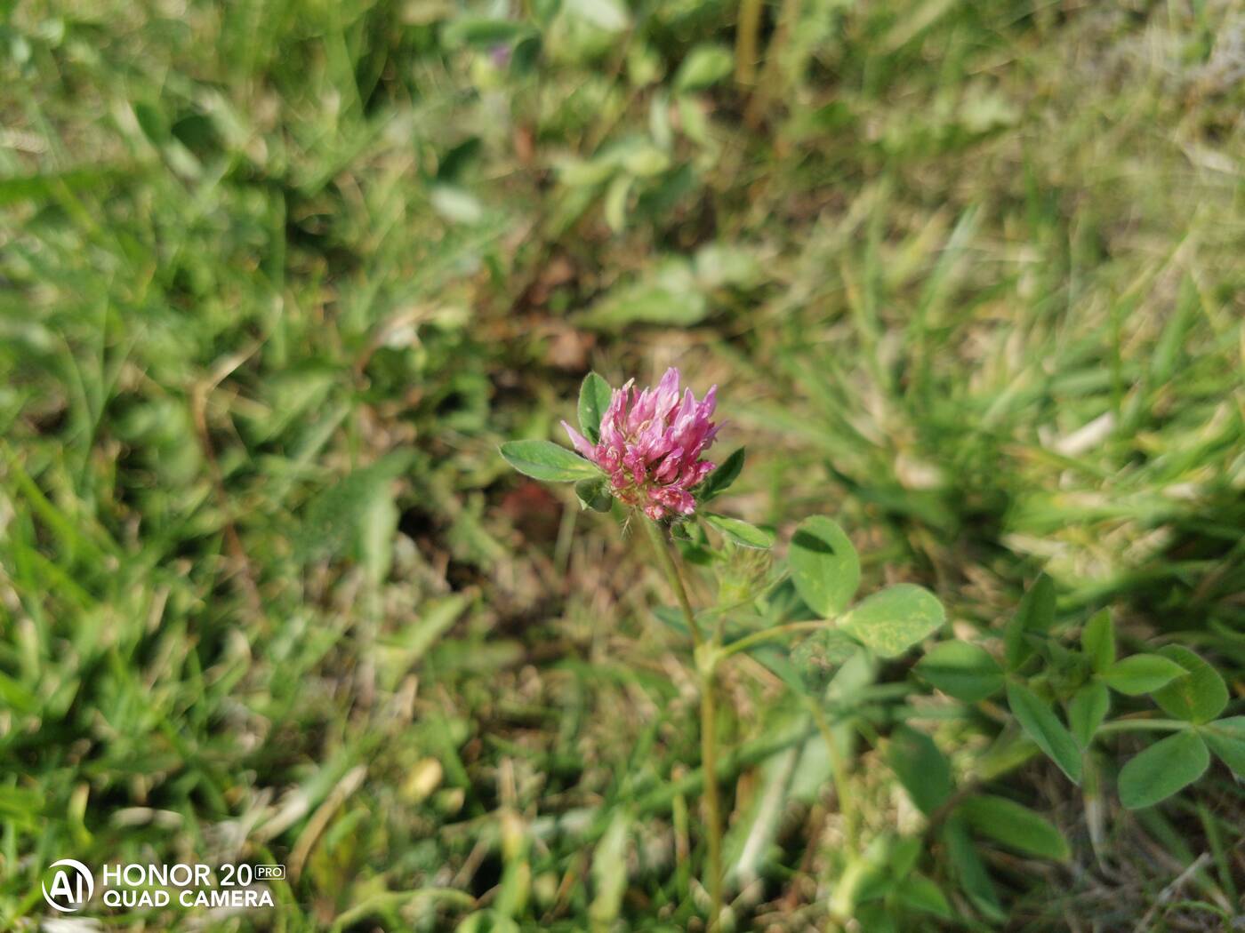 Test Honor 20 Pro - tam gdzie Huawei mówi dobranoc