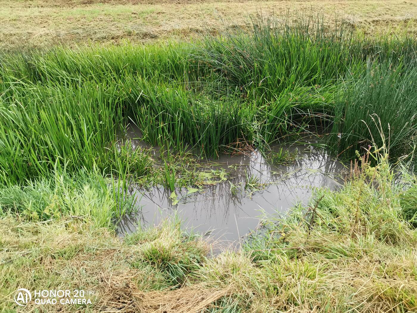 Test Honor 20 Pro - tam gdzie Huawei mówi dobranoc