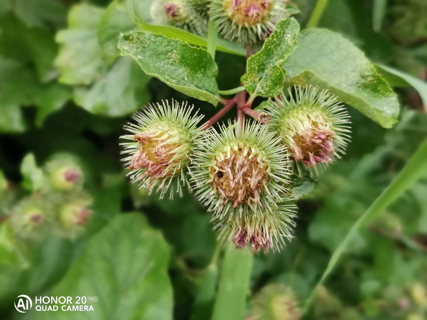 Test Honor 20 Pro - tam gdzie Huawei mówi dobranoc