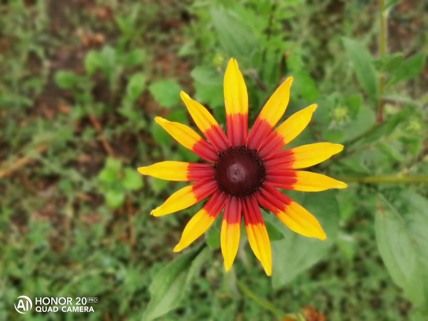 Test Honor 20 Pro - tam gdzie Huawei mówi dobranoc