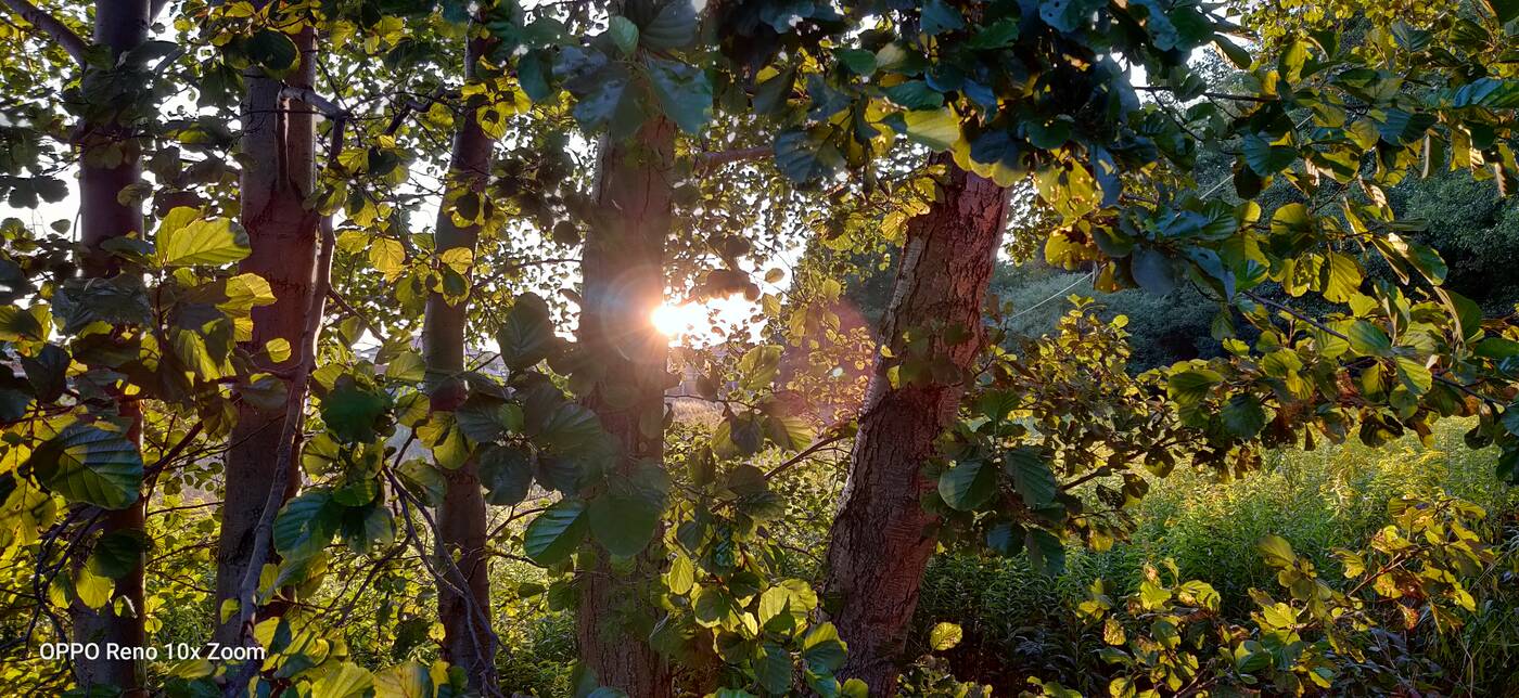 Test Oppo Reno 10x Zoom – flagowiec inny niż wszystkie