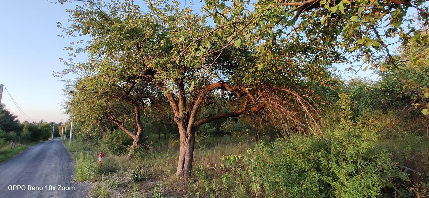 Test Oppo Reno 10x Zoom – flagowiec inny niż wszystkie