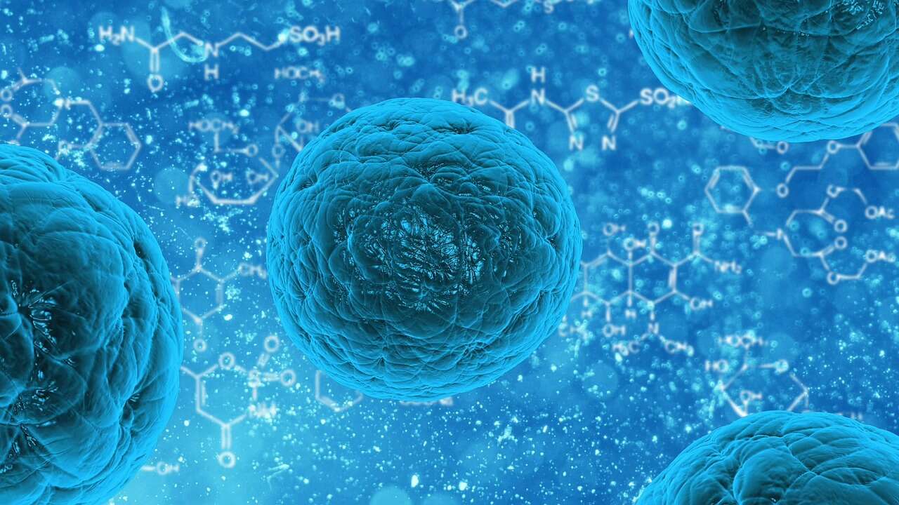 komórki odpornościowe, komórki X, hybrydowe komórki, hybrydowe komórki odpornościowe, nowe komórki odpornościowe, odkrycie komórki odpornościowe, cukrzyca typu 1