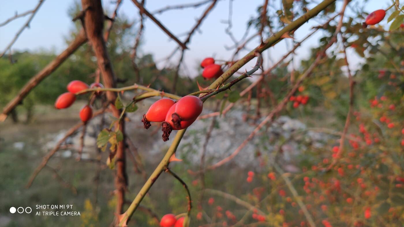 Test Xiaomi Mi 9T – tańszy brat wersji „Pro” od Xiaomi