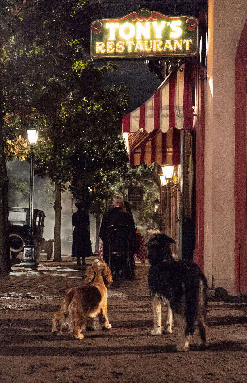 Zwiastun filmu Zakochany kundel – kolejna nowa wersja klasycznej animacji