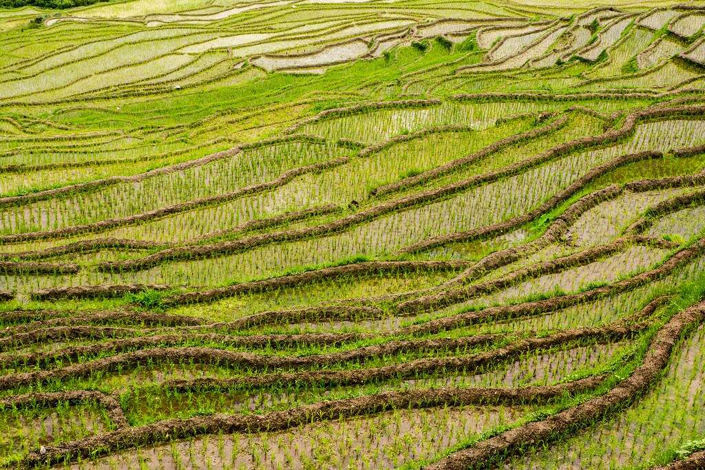 podtlenek azotu,N2O, emisja podtlenku azotu, zagrożenie z podtlenku azotu