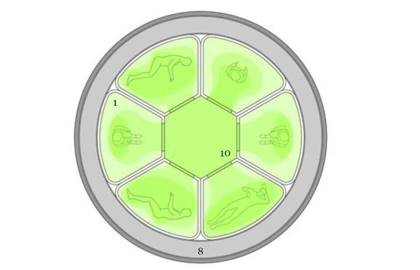 hibernacja ESA, Europejska Agencja Kosmiczna, Sen Zimowy u astronautów, hibernacja astronautów
