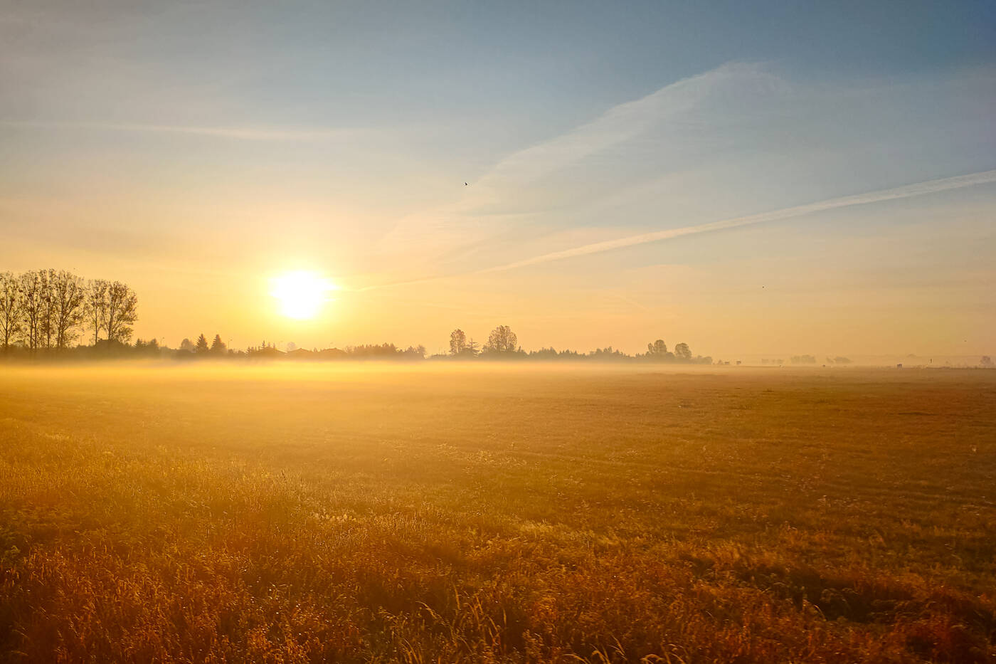 Jak robić dobre zdjęcia telefonem i czym je obrabiać?