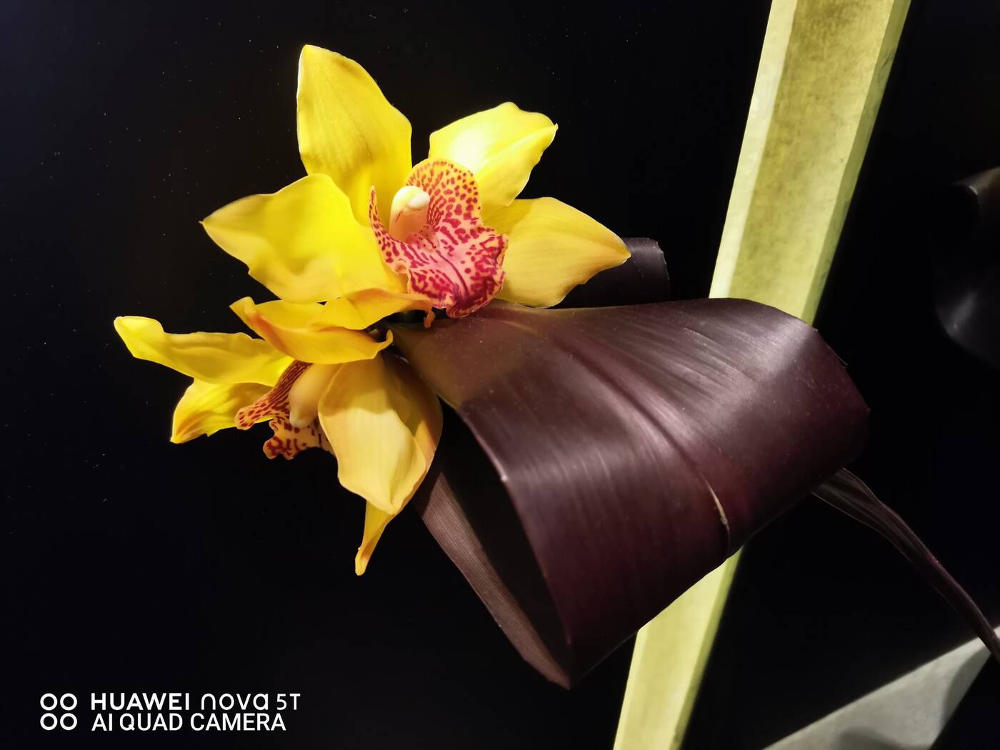 Test Huawei Nova 5T - jak sprzedać dwa razy ten sam smartfon