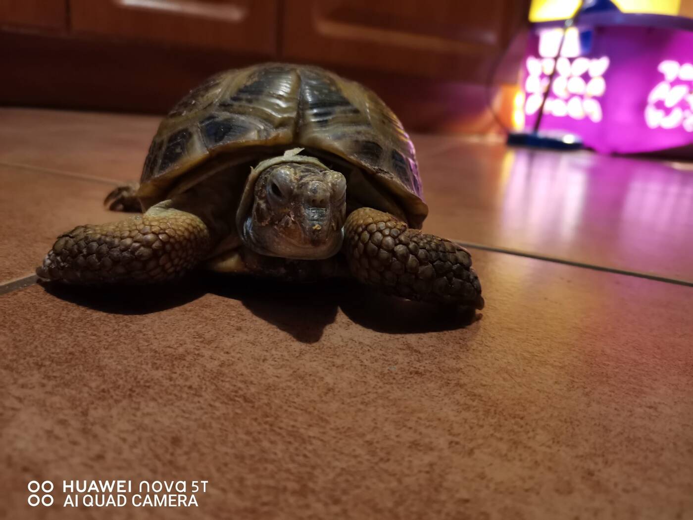 Test Huawei Nova 5T - jak sprzedać dwa razy ten sam smartfon