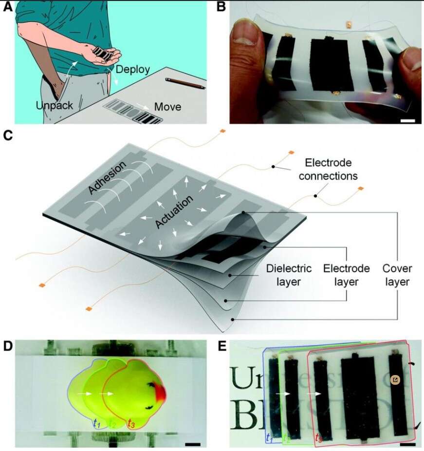 robot ElectroSkin, ElectroSkin, działanie ElectroSkin, kieszonkowy ElectroSkin