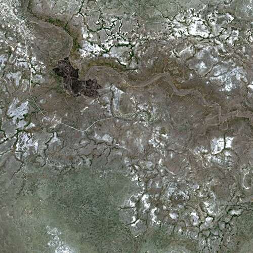 Kim była Mitochondrialna Ewa?