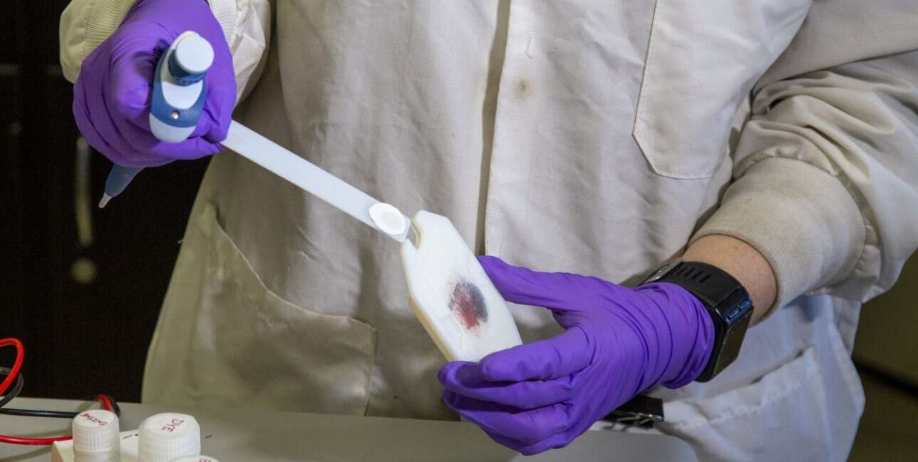 alternatywa dla alkomatów, testery potu, test alkoholu we krwi, alkohol we krwi a pot