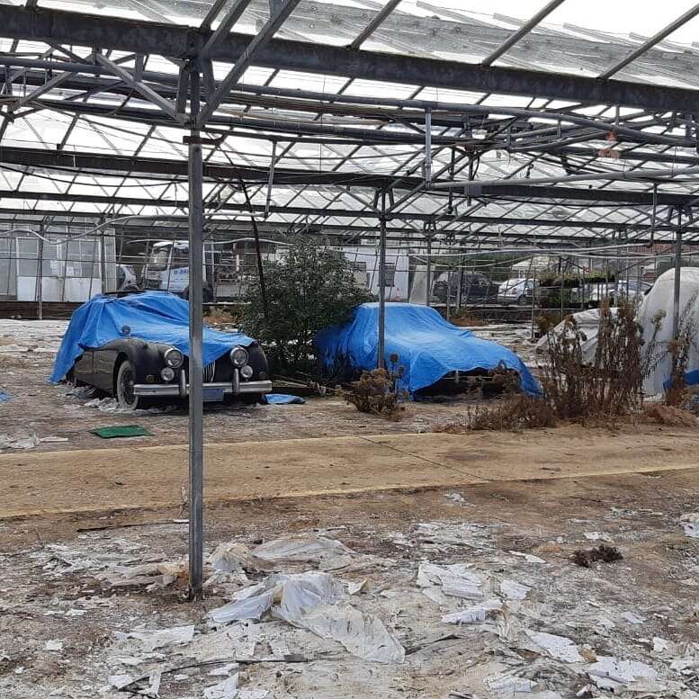 stare Jaguary, znalezione Jaguary, klasyczne Jaguary