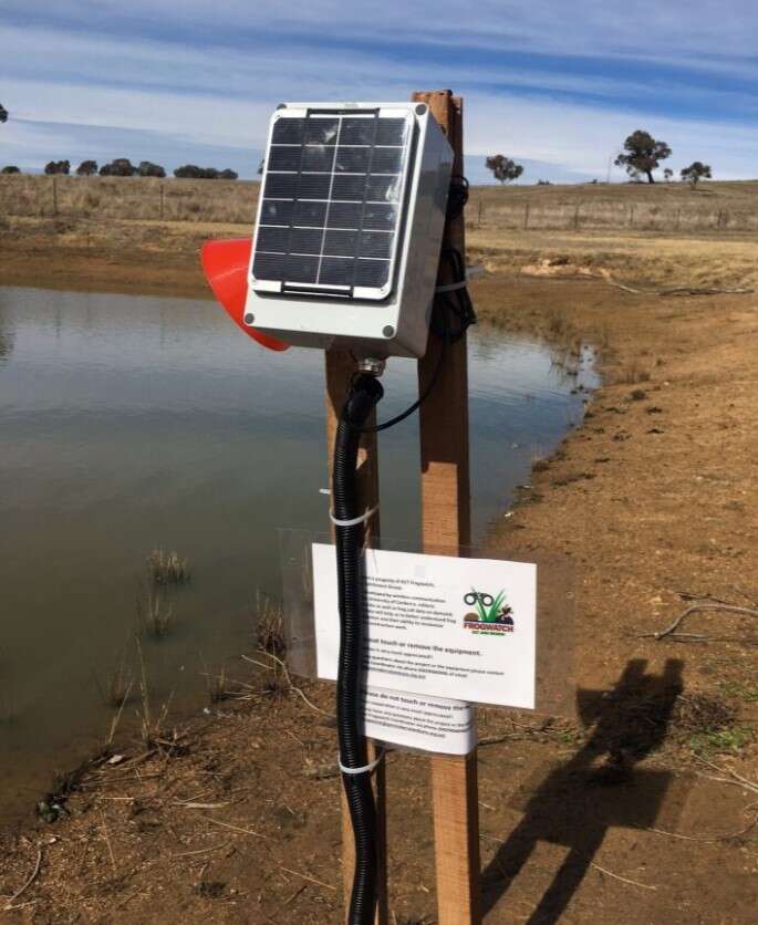 FrogWatch, FrogPhone, czujnik do badania żab