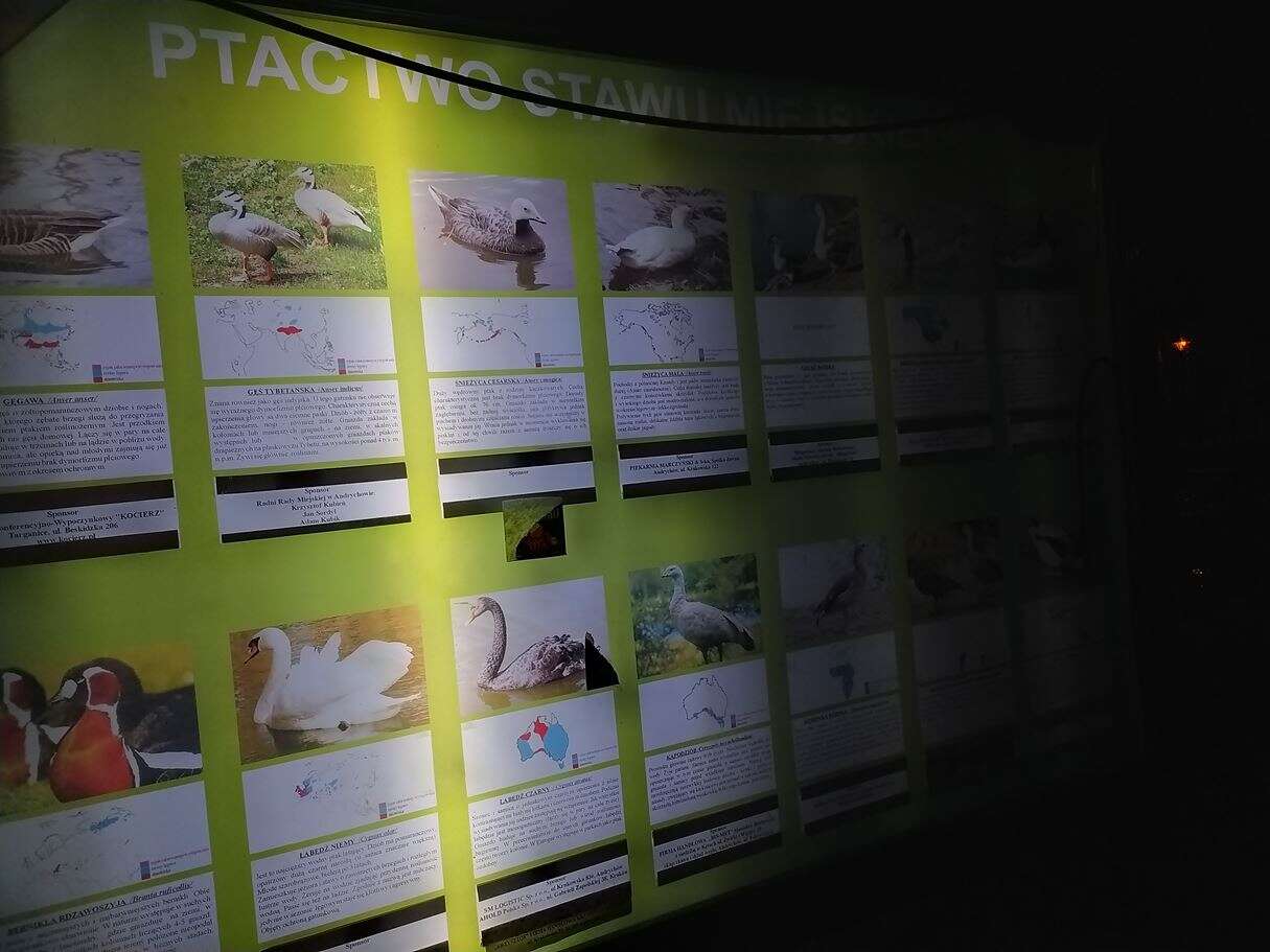 Redmi Note 8T - król opłacalności, czy wtopa Xiaomi?