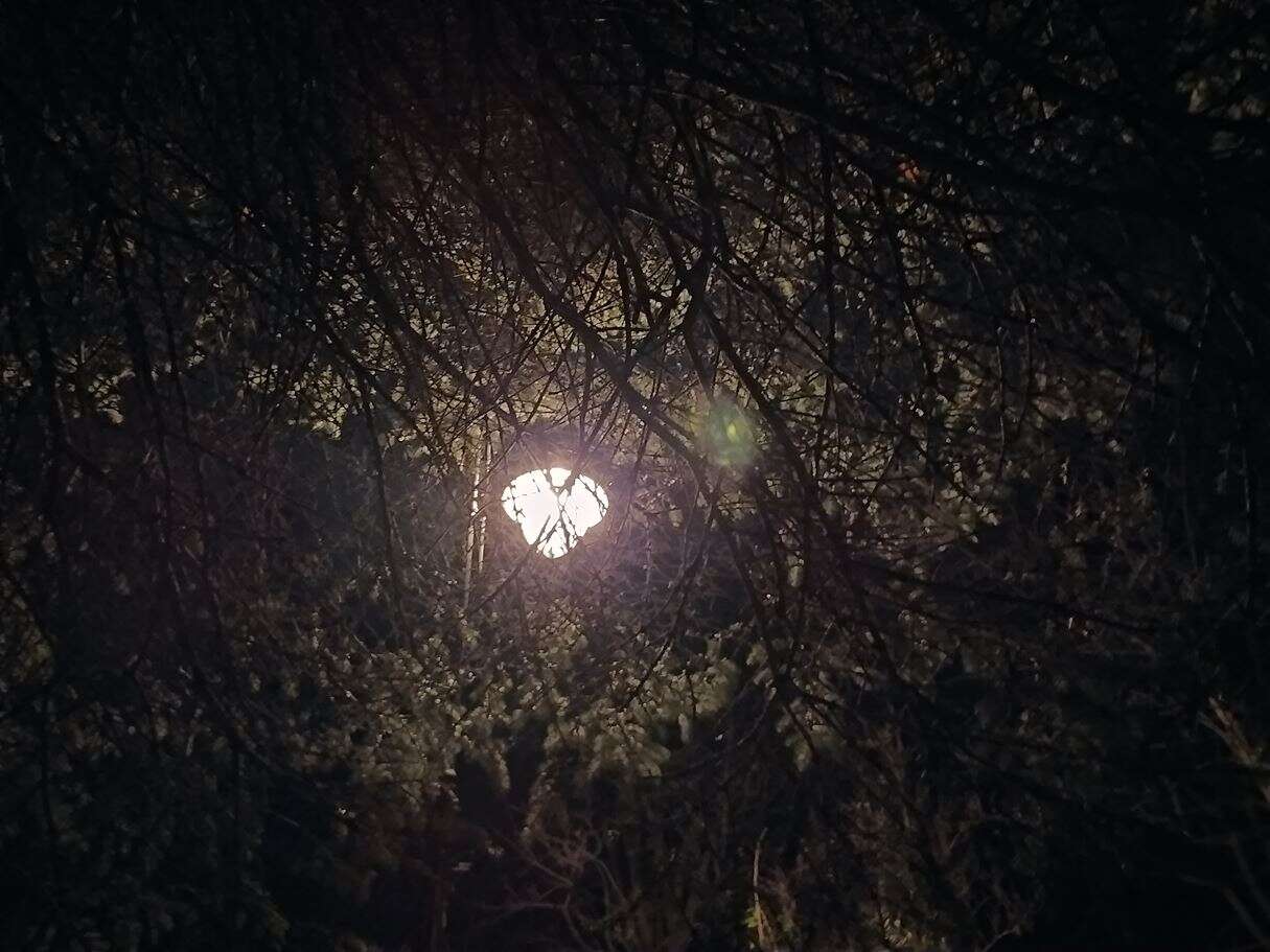 Redmi Note 8T - król opłacalności, czy wtopa Xiaomi?