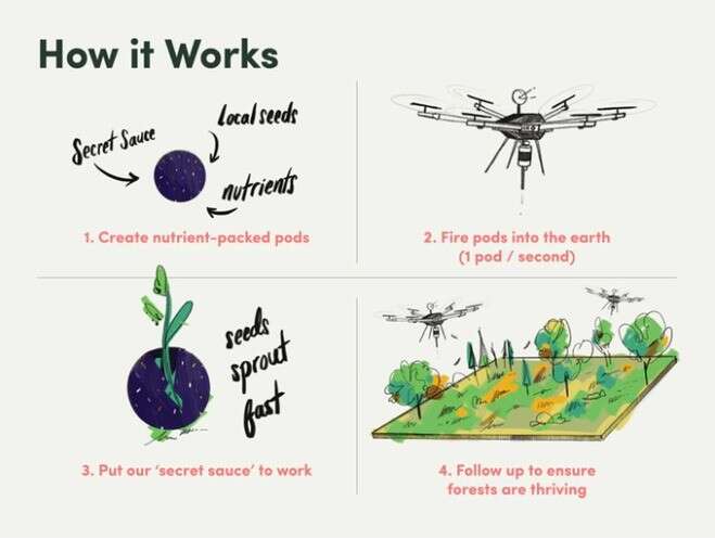 Kanadyjczycy mają niesamowity pomysł na zasadzenie miliarda drzew