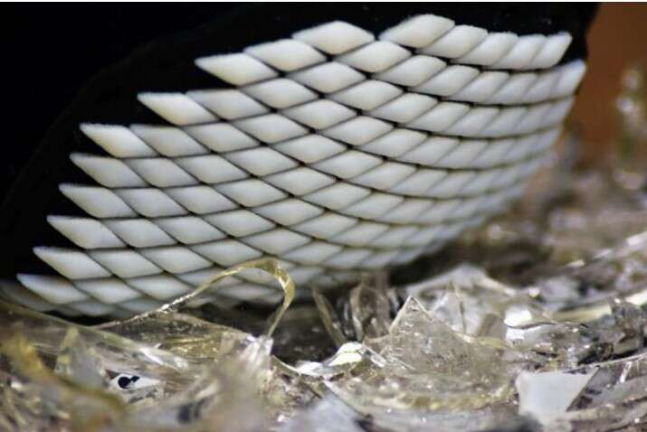 pancerze chitonów, nowe kamizelki kuloodporne, inspirowane naturą kamizelki kuloodporne