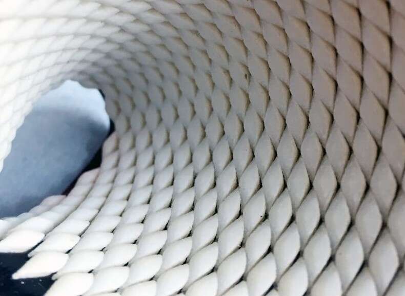 pancerze chitonów, nowe kamizelki kuloodporne, inspirowane naturą kamizelki kuloodporne