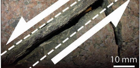 Podsumowanie tygodnia - nauka [19.01. 2020]