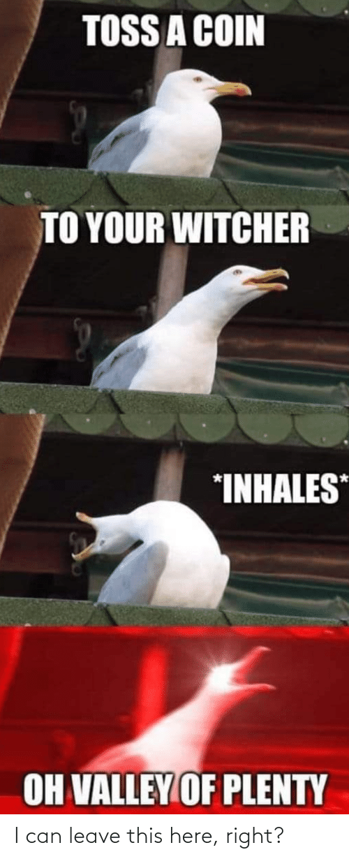 Toss a Coin to Your Witcher - najlepsze covery i memy