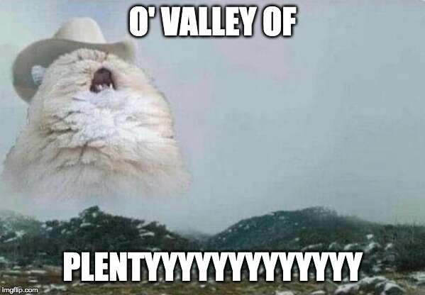 Toss a Coin to Your Witcher - najlepsze covery i memy