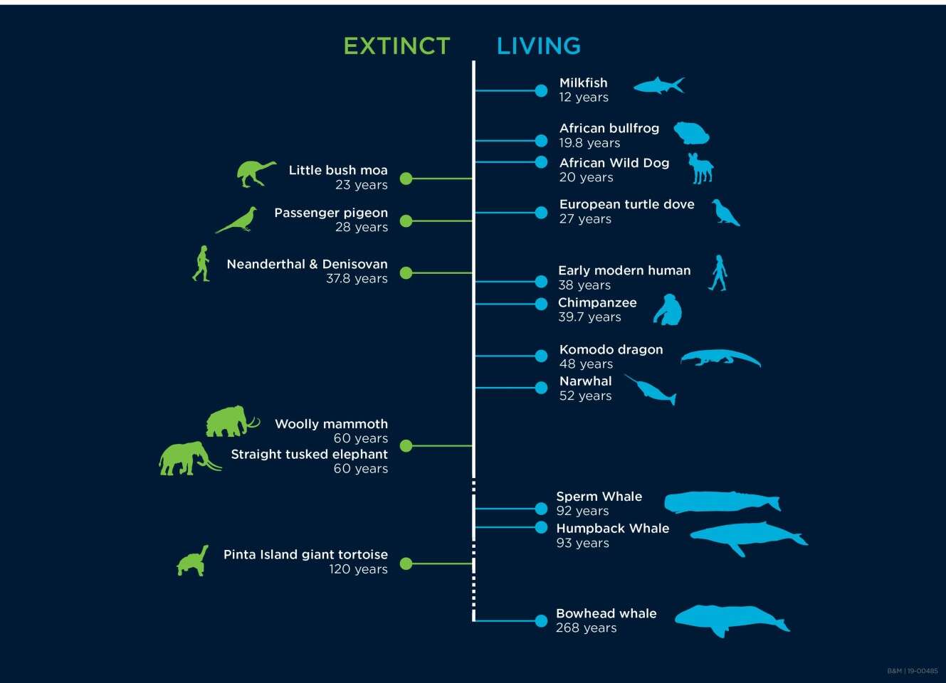 Dzięki analizie DNA znamy długość życia poszczególnych gatunków