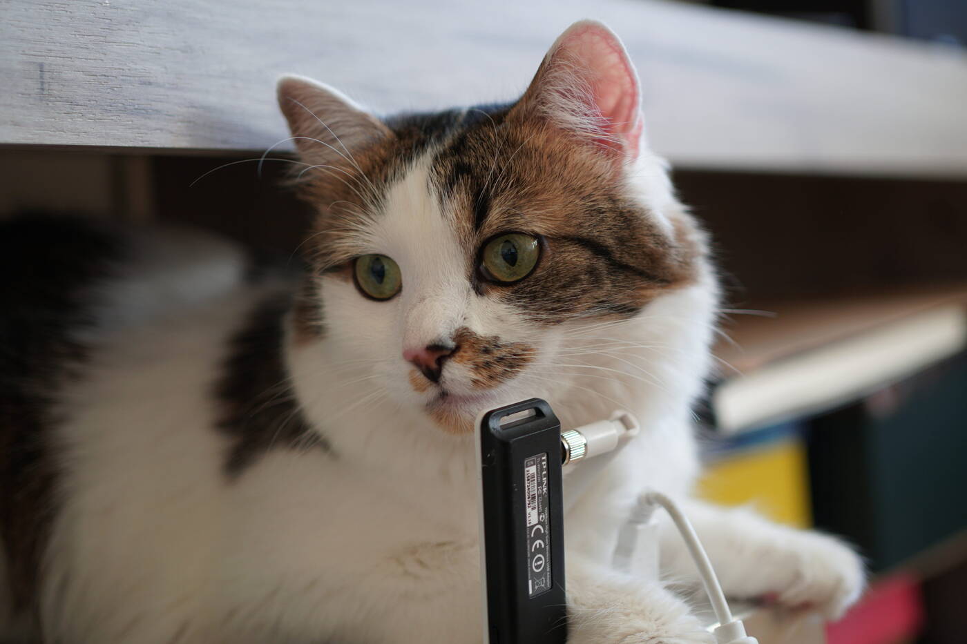 Test aparatu Sony A6500