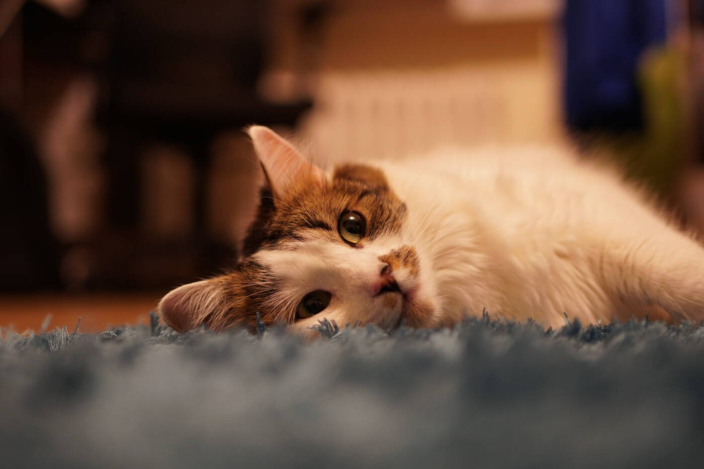 Test aparatu Sony A6500