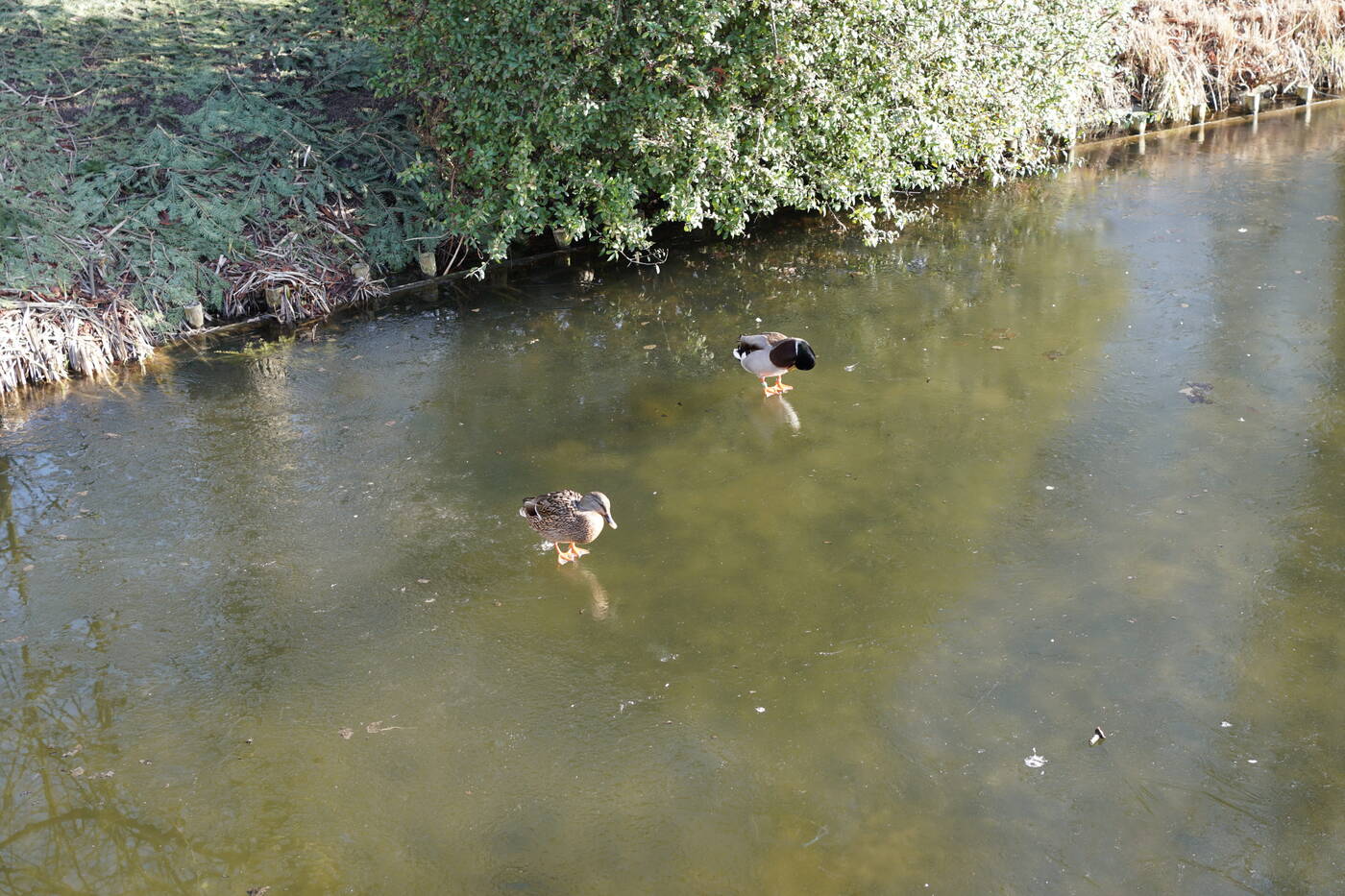 Test aparatu Sony A6500