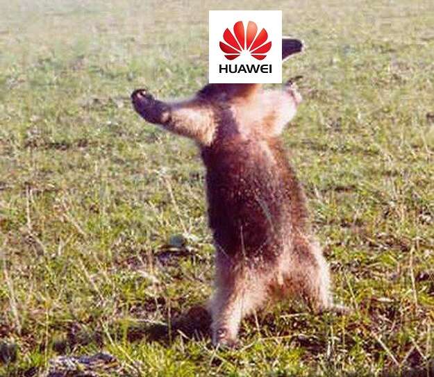 Najciekawsze newsy - smartfony i telekomunikacja [17.02.2020]