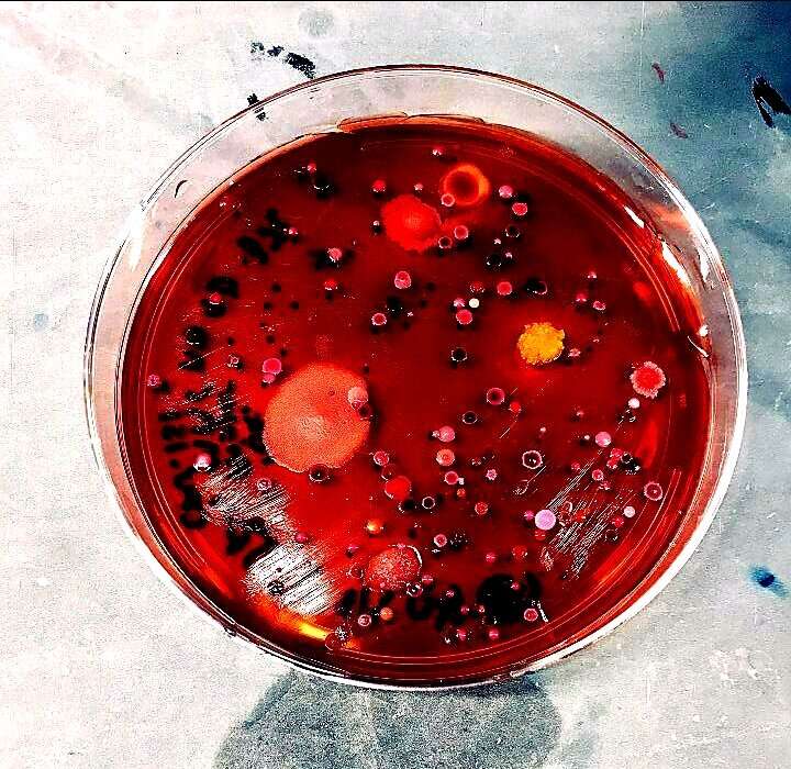 Najciekawsze newsy tygodnia – nauka [02.02.2020]