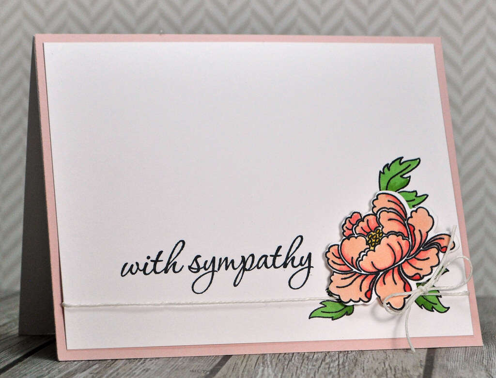 Najciekawsze newsy tygodnia – nauka [02.02.2020]