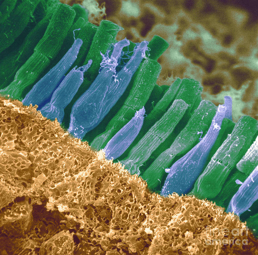 Jak niebieskie światło może zniszczyć Ci oczy?