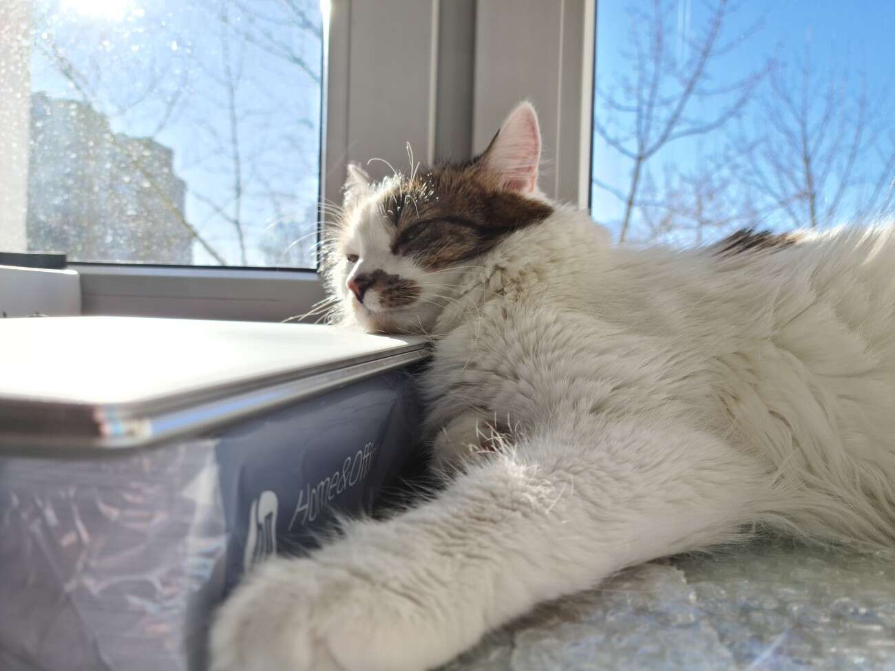 Test Samsung Galaxy S20. Kompaktowy flagowiec bez kompleksów