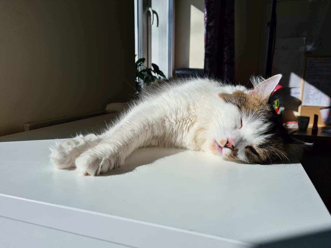 Test Samsung Galaxy S20. Kompaktowy flagowiec bez kompleksów