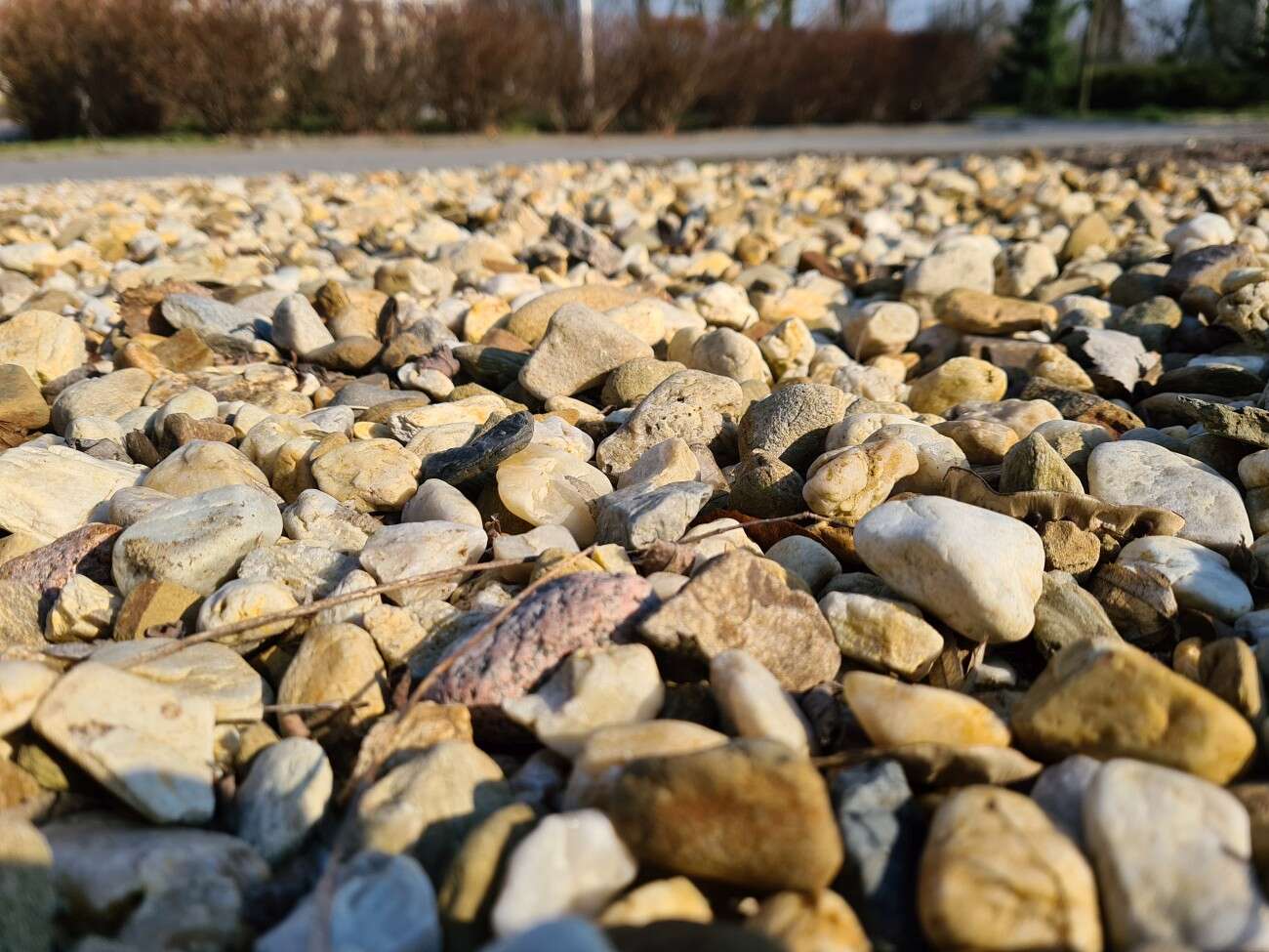 Test Samsung Galaxy S20. Kompaktowy flagowiec bez kompleksów