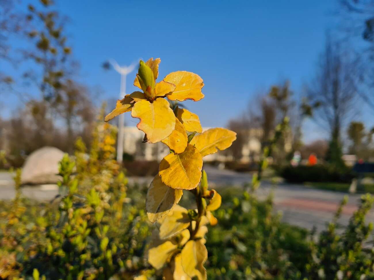 Test Samsung Galaxy S20. Kompaktowy flagowiec bez kompleksów