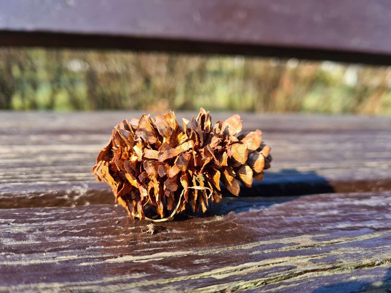 Test Samsung Galaxy S20. Kompaktowy flagowiec bez kompleksów