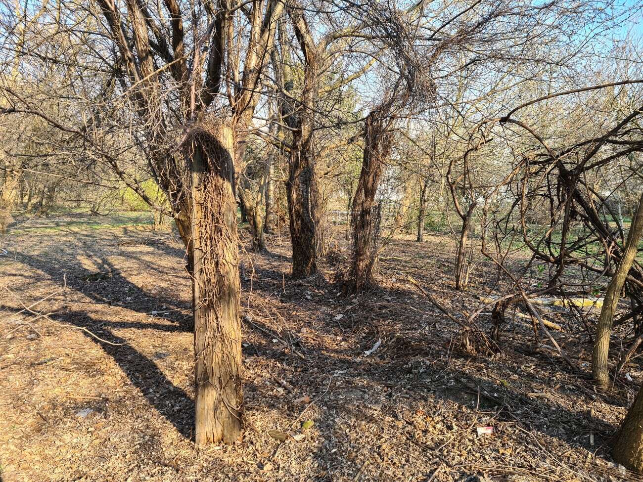 Test Samsung Galaxy S20. Kompaktowy flagowiec bez kompleksów