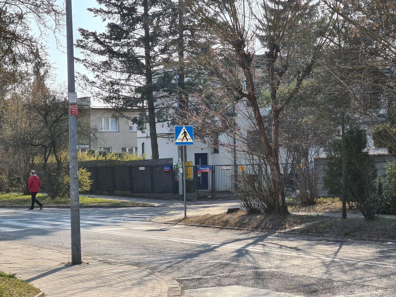 Test Samsung Galaxy S20. Kompaktowy flagowiec bez kompleksów