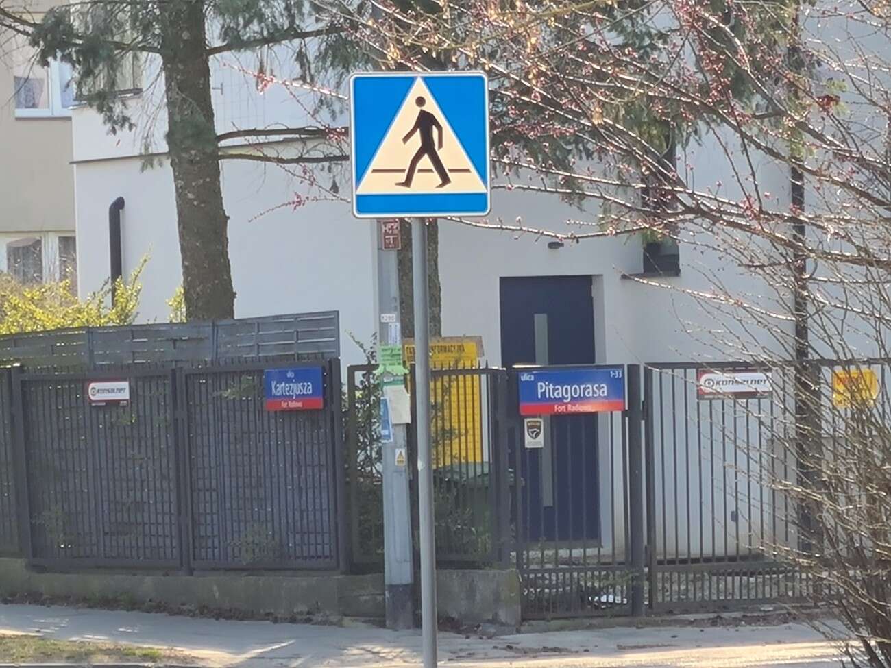 Test Samsung Galaxy S20. Kompaktowy flagowiec bez kompleksów